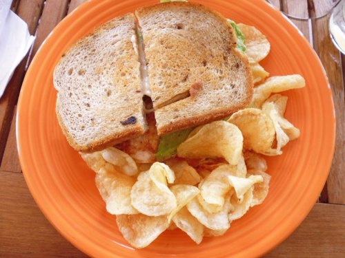 A toasted sandwich with lettuce, cut in half, served on an orange plate with a side of potato chips.