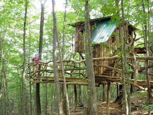 A treehouse built among trees, with a person sitting on a wooden platform nearby, surrounded by lush green foliage.