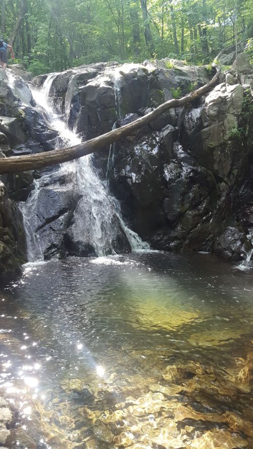A serene waterfall cascades over rocks into a clear pool, surrounded by lush green trees and sunlight filtering through.