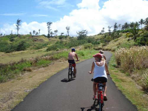 Three people riding bicycles on a scenic path surrounded by greenery and palm trees under a blue sky.