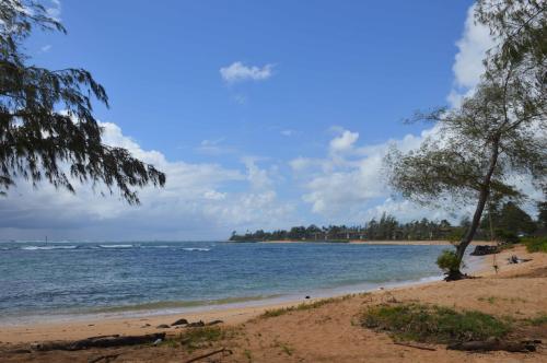 A serene beach scene with gentle waves, sandy shore, and lush trees under a partly cloudy sky.