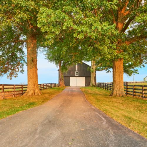 A scenic farm road lined with trees leading to a rustic barn under a clear sky.