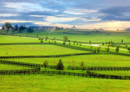 Lush green fields with winding fences and a distant farmhouse under a cloudy sky.