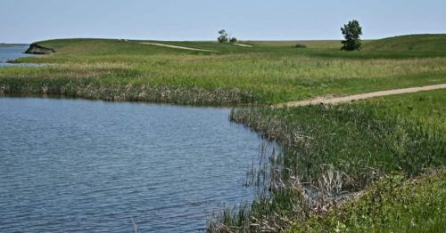 A serene landscape featuring a calm water body, grassy banks, and a distant tree under a clear blue sky.