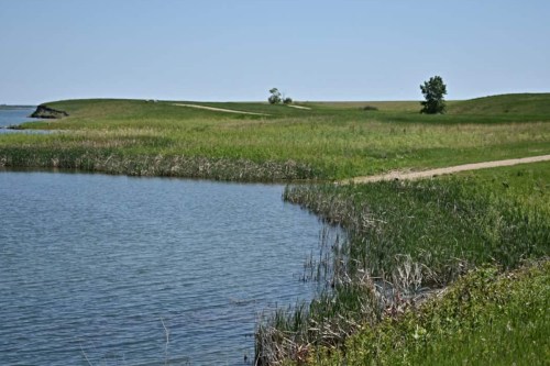 A serene landscape featuring a calm water body, grassy banks, and a distant tree under a clear blue sky.