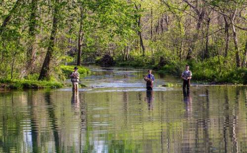 Three people stand in a serene, shallow stream surrounded by lush greenery and trees, reflecting in the water.