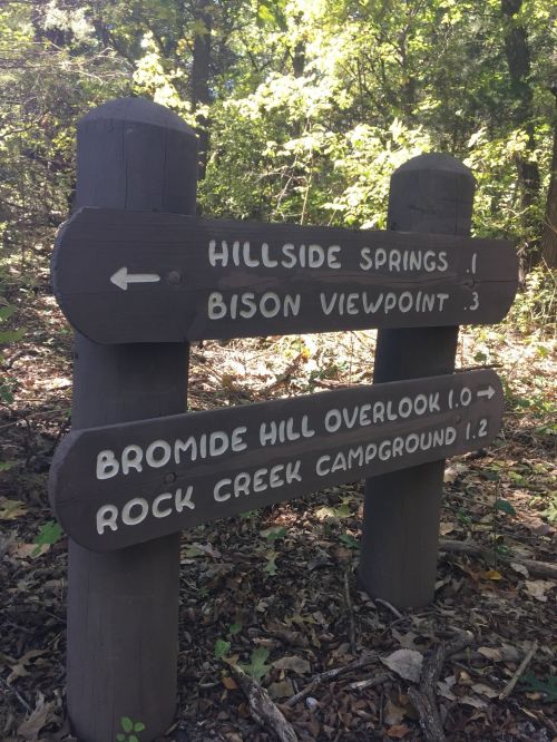 Wooden signpost with directional arrows for Hillside Springs, Bison Viewpoint, Bromide Hill Overlook, and Rock Creek Campground.