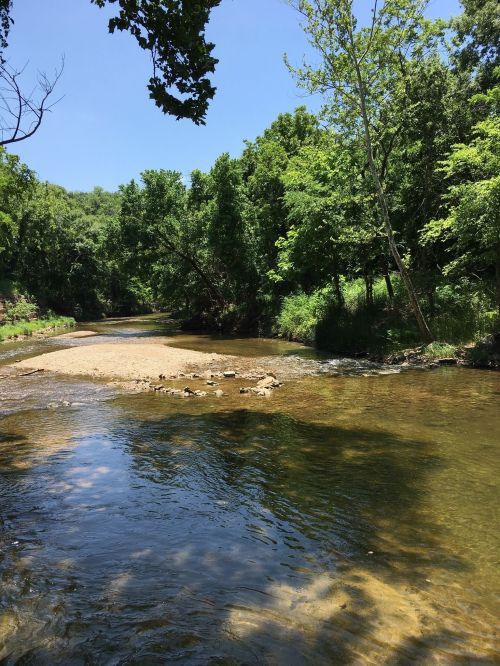 A serene river scene with clear water, sandy banks, and lush green trees under a bright blue sky.