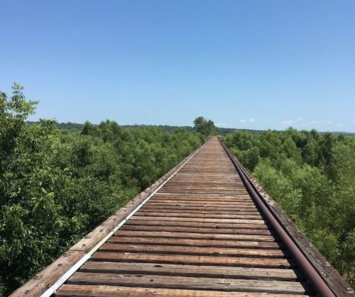 A wooden railway bridge stretches into the distance, surrounded by lush green trees under a clear blue sky.
