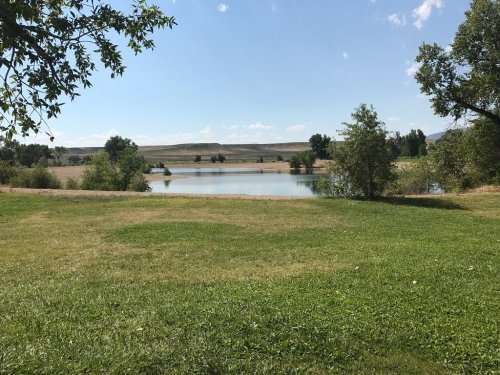 A serene landscape featuring a calm pond surrounded by green grass and trees under a clear blue sky.