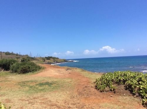 A scenic coastal view with a dirt path, lush greenery, and calm blue waters under a clear blue sky.