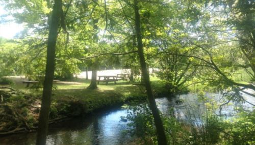 A serene park scene with a stream, lush green trees, and picnic tables in the background under bright sunlight.