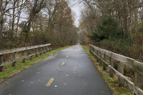 A quiet, tree-lined path with a paved surface, flanked by wooden railings, under a cloudy sky.