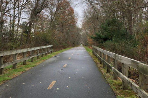 A quiet, tree-lined path with a paved surface, flanked by wooden railings, under a cloudy sky.