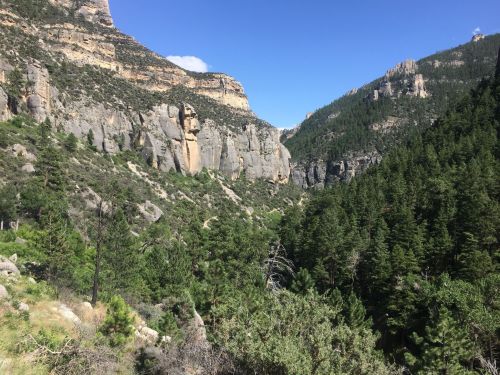 A scenic view of a lush green valley surrounded by towering cliffs and mountains under a clear blue sky.