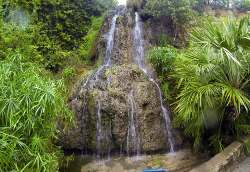 A serene waterfall cascading over rocky terrain, surrounded by lush green foliage and tropical plants.