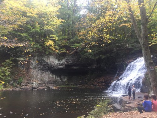 A serene waterfall cascades into a calm pool, surrounded by trees with autumn foliage and people enjoying the scenery.