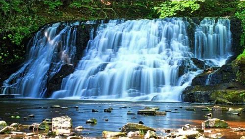 A serene waterfall cascades over rocks into a calm pool, surrounded by lush greenery.