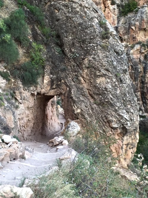 A narrow pathway carved through a rocky cliff, surrounded by greenery and rugged terrain.
