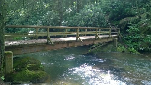 A wooden bridge spans a flowing stream, surrounded by lush greenery and rocky terrain.