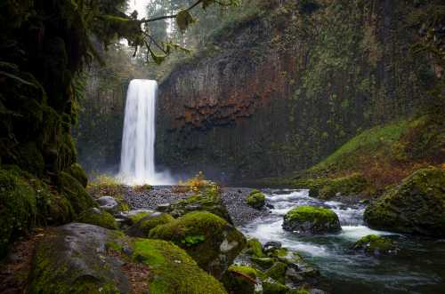 A serene waterfall cascades over moss-covered rocks, surrounded by lush greenery and a misty atmosphere.