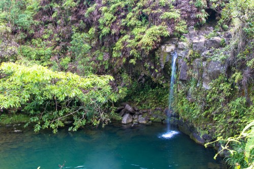 A serene waterfall cascades into a clear pool, surrounded by lush green foliage and vibrant plants.