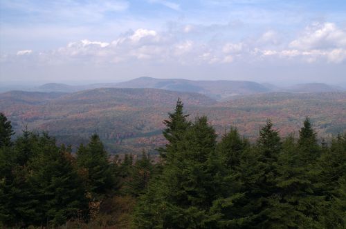A panoramic view of rolling hills covered in autumn foliage, with evergreen trees in the foreground under a cloudy sky.