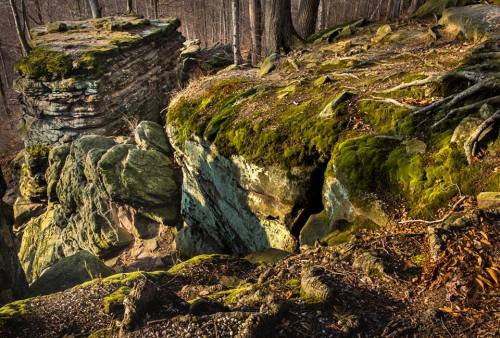 Moss-covered rocks and cliffs in a wooded area, with tree roots visible and a serene natural landscape.