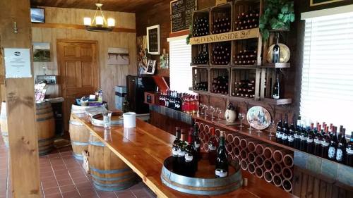 A cozy wine tasting room with a wooden bar, wine bottles on shelves, and barrels in a rustic setting.
