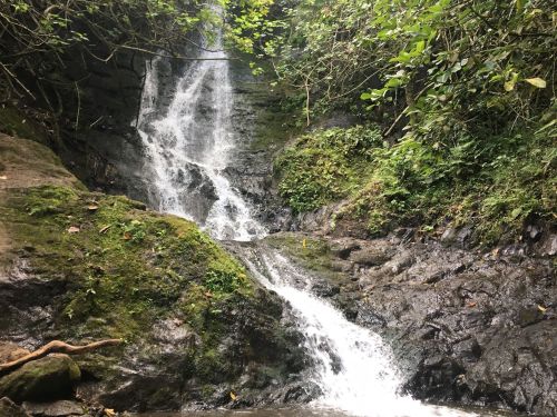 A serene waterfall cascading down rocky terrain, surrounded by lush green foliage and trees.