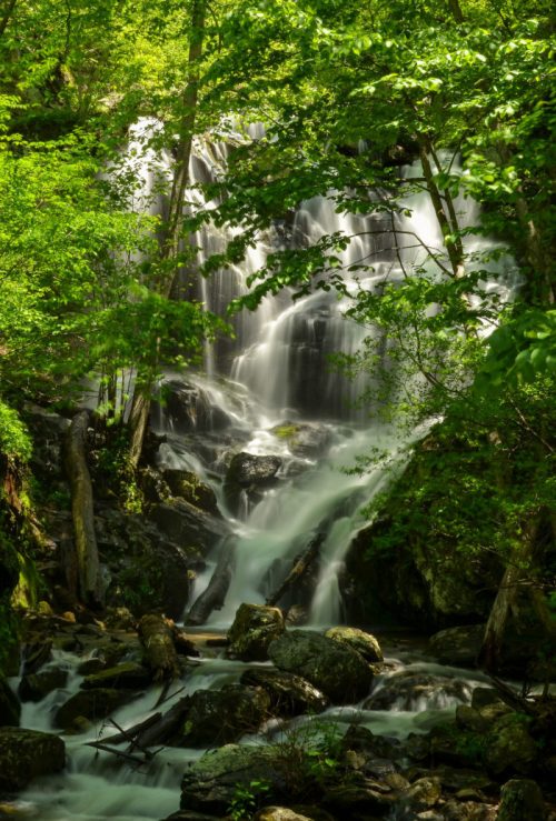 A serene waterfall cascades through lush green trees and rocks, creating a tranquil natural scene.