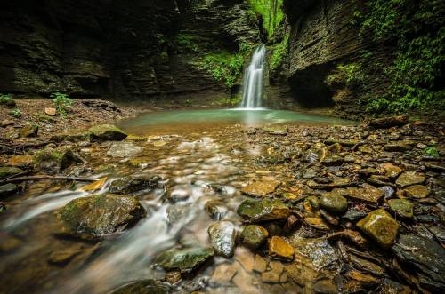 A serene waterfall cascades into a clear pool, surrounded by lush greenery and rocky terrain.