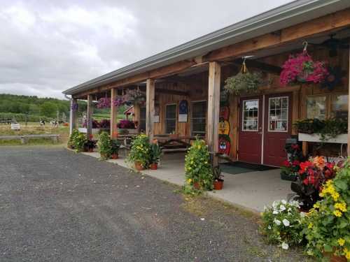 A rustic wooden building with a porch, colorful flower pots, and hanging plants, set against a cloudy sky.