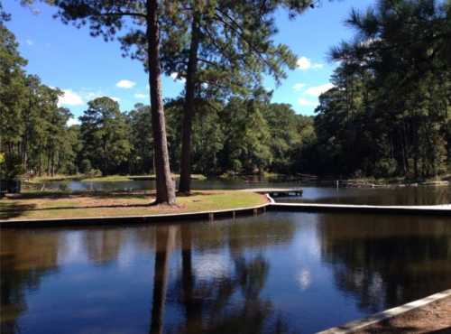 A serene lake surrounded by trees, with a wooden dock extending into the water under a clear blue sky.