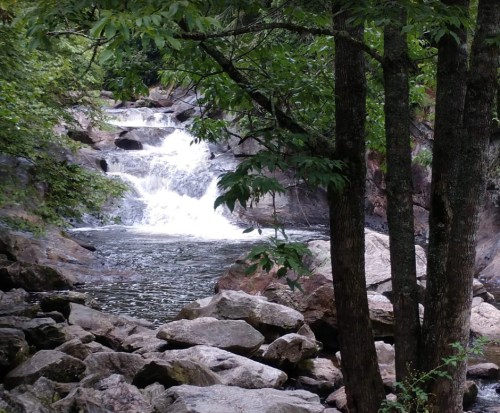 A serene waterfall cascades over rocks, surrounded by lush greenery and trees.