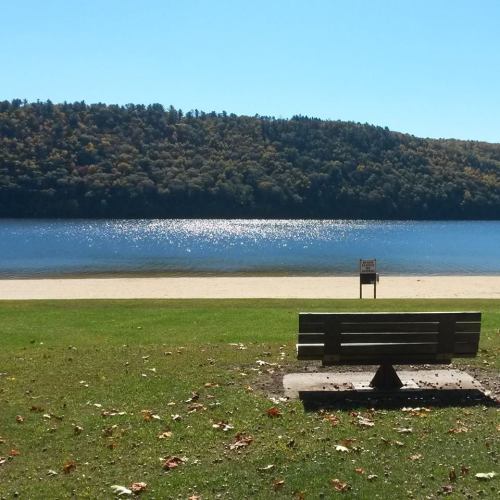 A serene lakeside view with a bench on the grass, surrounded by trees and a calm water surface reflecting sunlight.