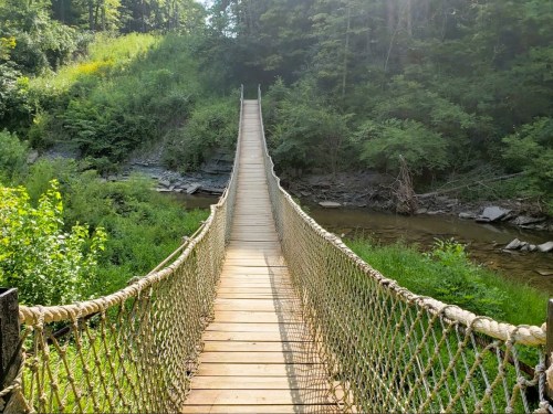 A wooden suspension bridge stretches over a stream, surrounded by lush greenery and trees.