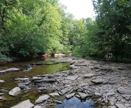 A serene river scene with rocky banks, surrounded by lush green trees and clear blue skies.