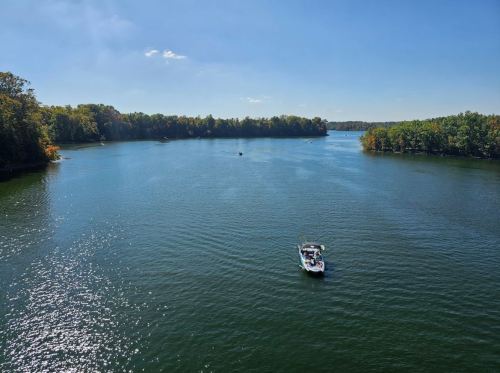 A serene lake scene with a boat on the water, surrounded by trees and a clear blue sky.