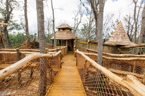A wooden bridge leads to a treehouse surrounded by trees, featuring a rustic design and a shingled roof.