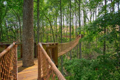 A wooden treehouse platform connected by a rope bridge, surrounded by lush green trees in a forest.