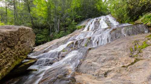 A serene waterfall cascading over smooth rocks, surrounded by lush green trees and foliage.