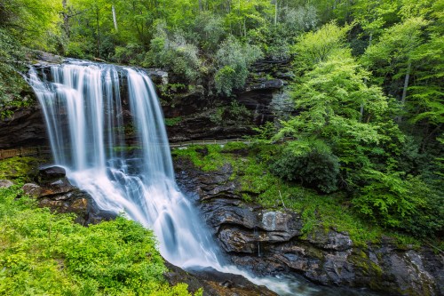 A serene waterfall cascades over rocks, surrounded by lush green trees and foliage in a tranquil forest setting.