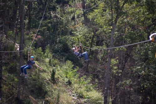 Two people ziplining through a forested area, surrounded by trees and greenery.