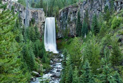 A serene waterfall cascades down rocky cliffs, surrounded by lush green trees and a flowing stream below.