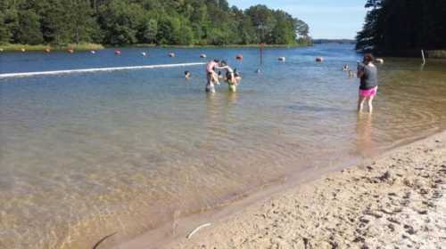 People enjoying a sunny day at a lake, wading in shallow water with trees in the background.