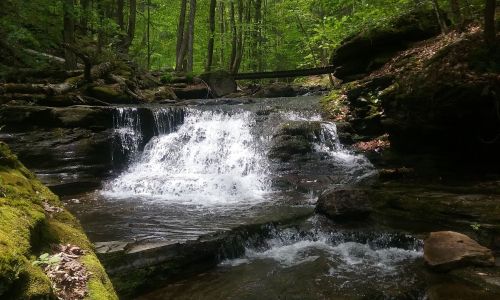 A serene waterfall cascades over rocks in a lush green forest, surrounded by trees and moss.