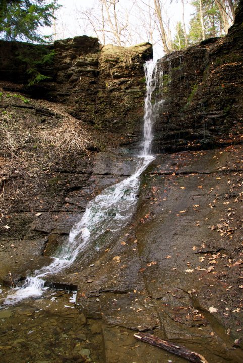A serene waterfall cascading down rocky terrain, surrounded by trees and fallen leaves.
