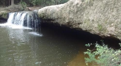 A serene waterfall cascading into a calm pool, surrounded by rocky terrain and lush greenery.