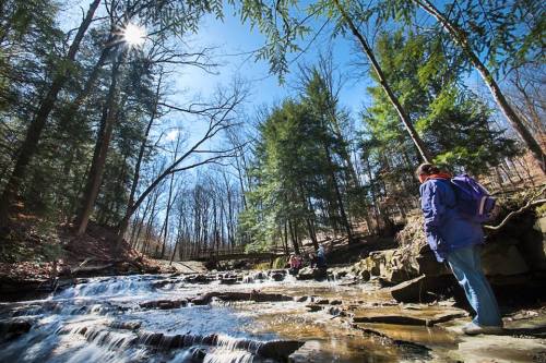 A person stands by a flowing stream in a forest, with sunlight filtering through the trees on a clear day.